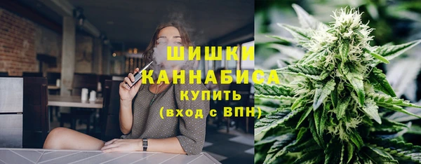 прущие грибы Вязники